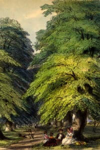 Puzzle - Woodland - Linden/Lime