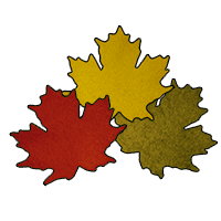 Maple Leaves