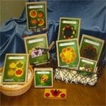 Wool Felt Kits