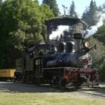 Here's an alt tag for the image: Steam locomotive train in the woods.